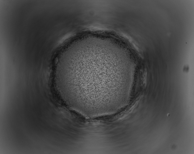 X0000102831157200809081148