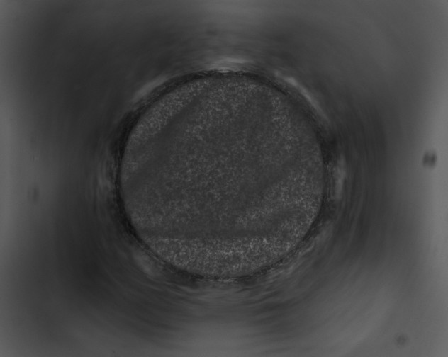 X0000102831158200809081148