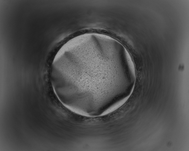 X0000102831159200809081148