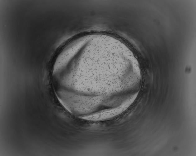 X0000102831160200809081148