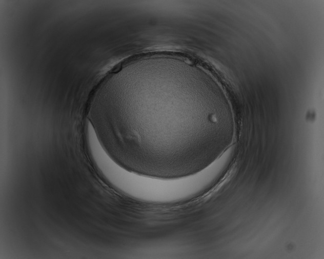 X0000102831161200809081148