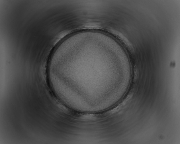 X0000102831162200809081148