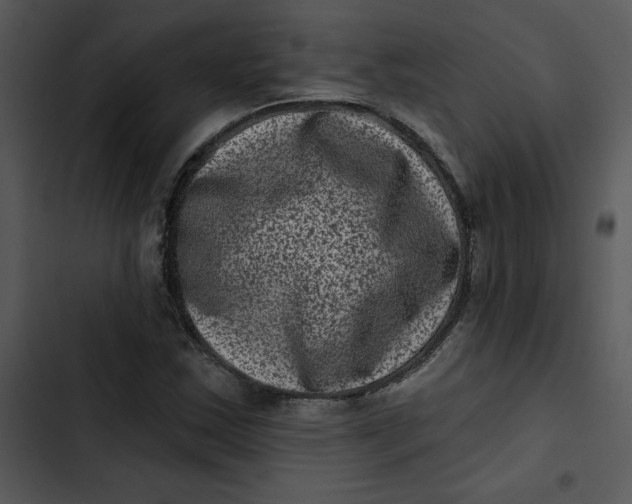 X0000102831163200809081148