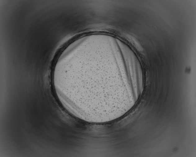 X0000102831164200809081148