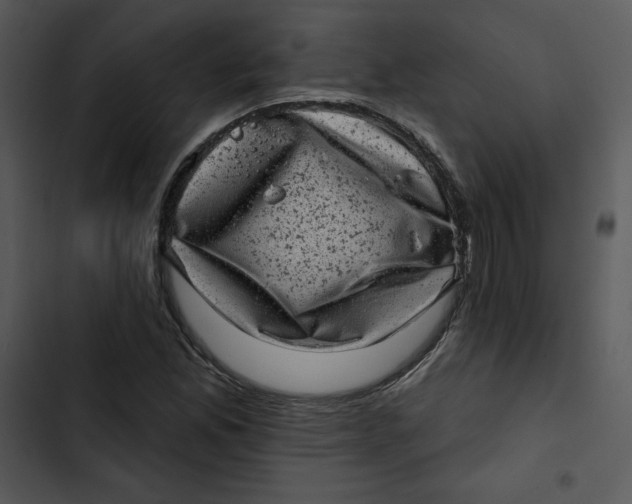 X0000102831165200809081148