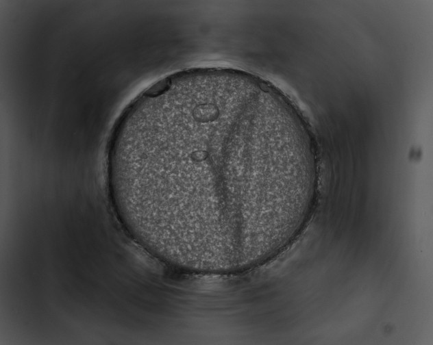 X0000102831167200809081148