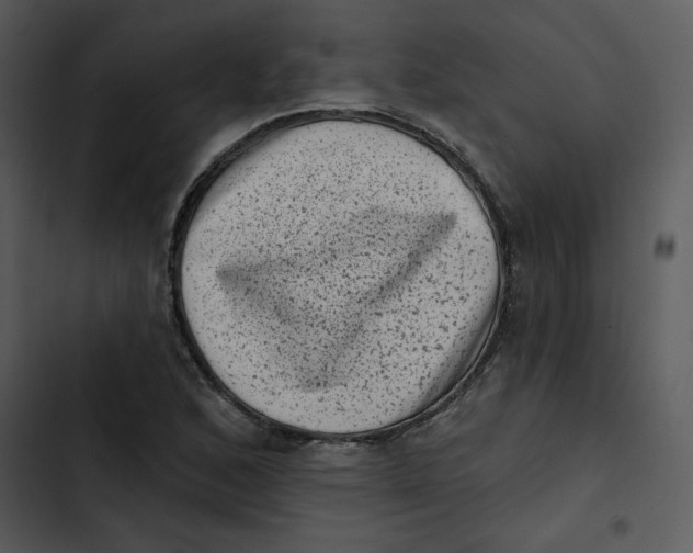 X0000102831168200809081148