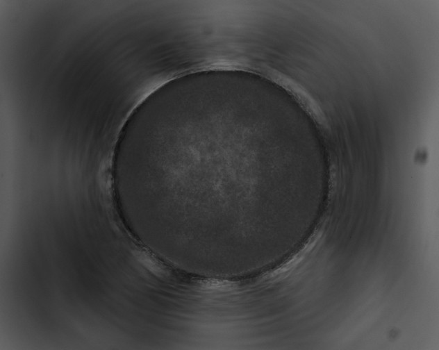 X0000102831170200809081148