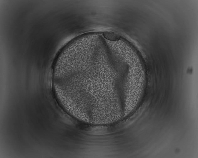 X0000102831171200809081148