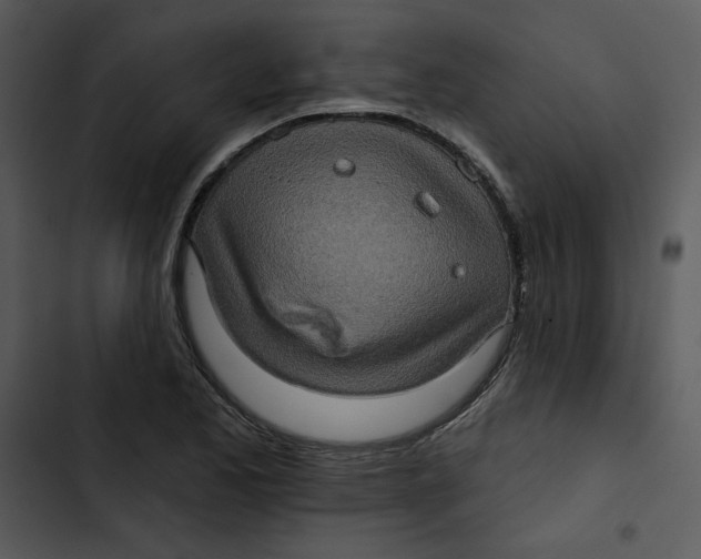 X0000102831173200809081148