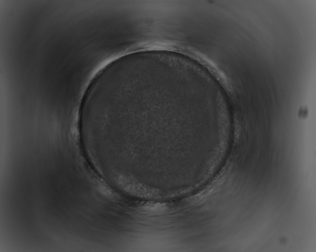 X0000102831174200809081148