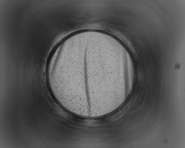 X0000102831176200809081148