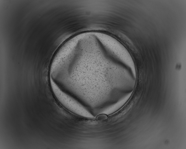 X0000102831177200809081148