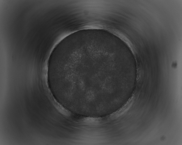 X0000102831179200809081148