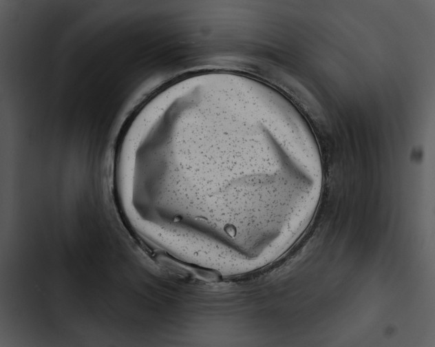 X0000102831180200809081148