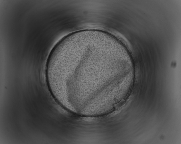 X0000102831182200809081148