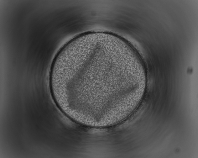 X0000102831183200809081148