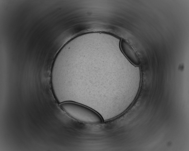 X0000102831185200809081148