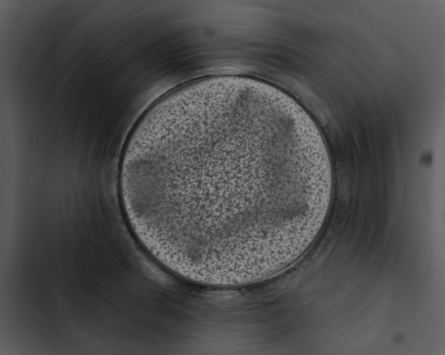 X0000102831186200809081148