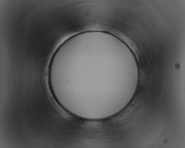 X0000102831187200809081148