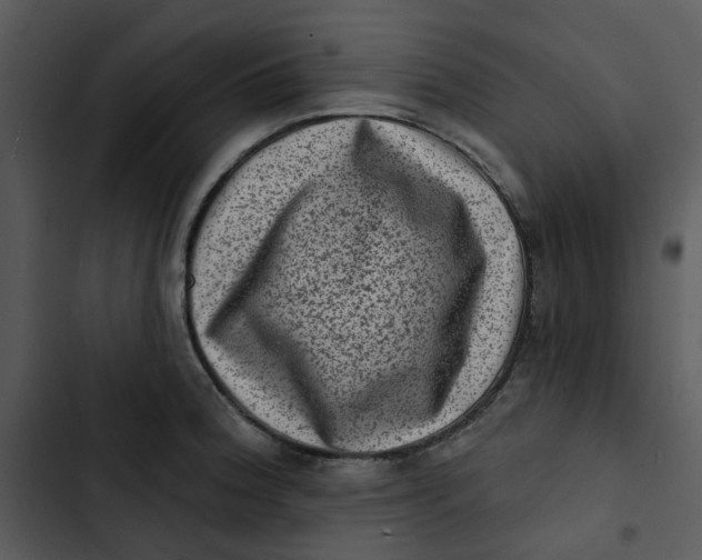 X0000102831188200809081148