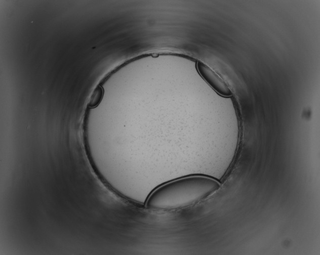 X0000102831189200809081148