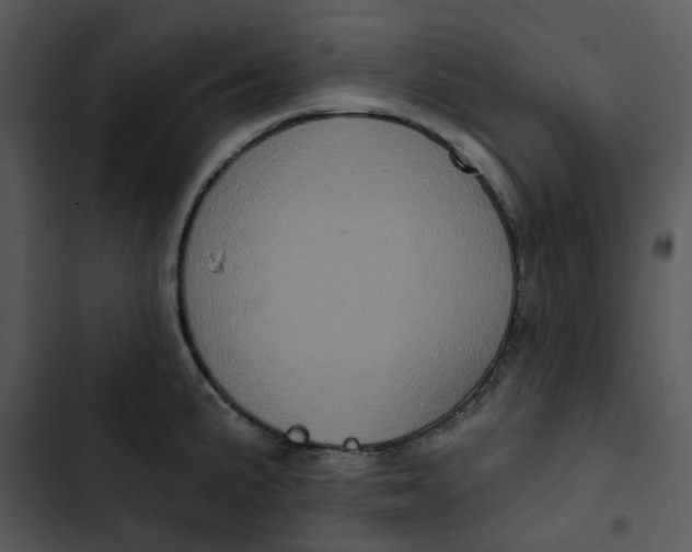 X0000102831191200809081148