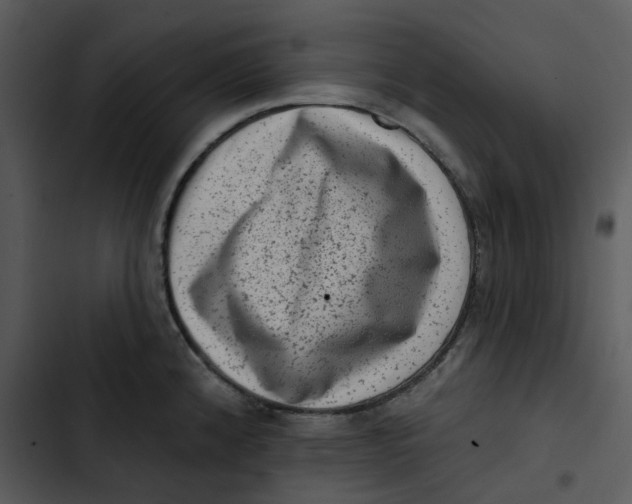 X0000102831192200809081148