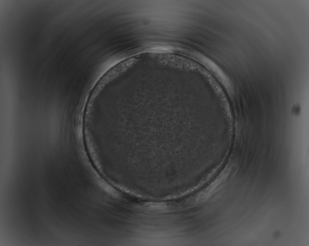 X0000102831194200809081148