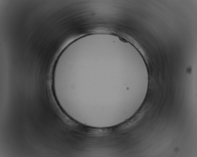 X0000102831195200809081148