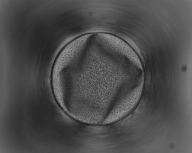 X0000102831197200809081148