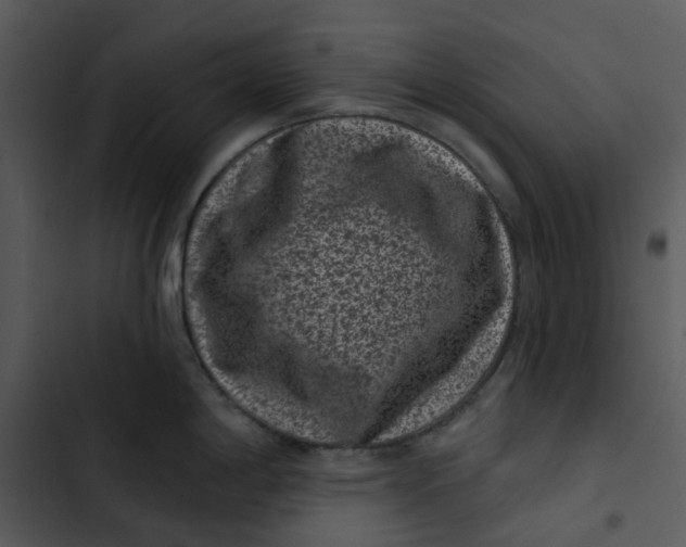 X0000102831198200809081148