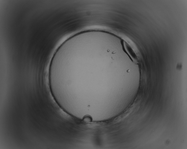 X0000102831199200809081148