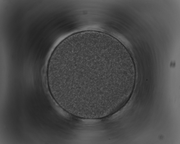 X0000102831200200809081148