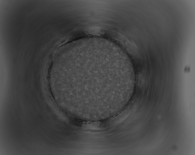 X0000102831201200809081147