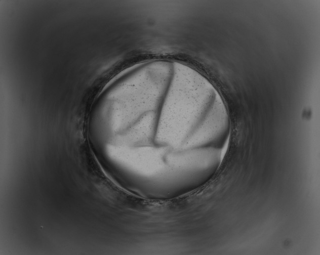 X0000102831205200809081147