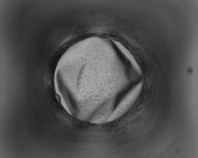 X0000102831206200809081147