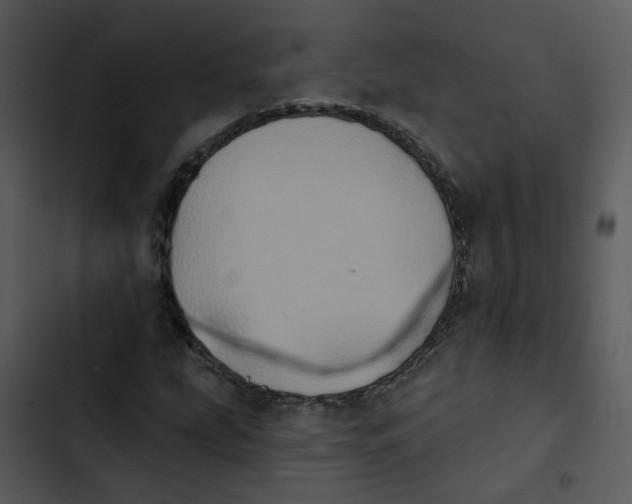 X0000102831207200809081147