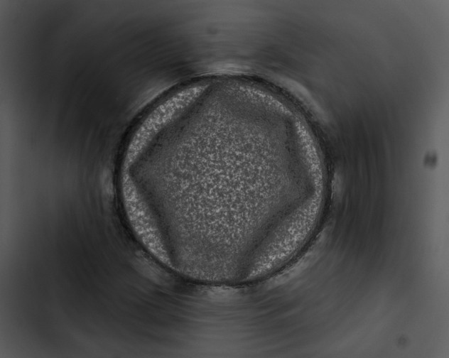 X0000102831209200809081147