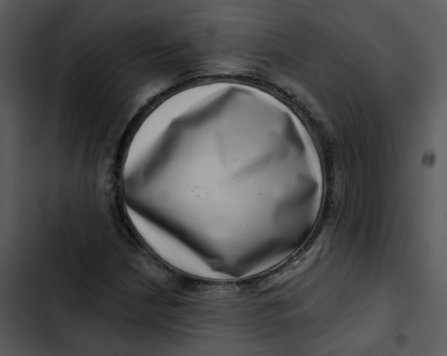 X0000102831210200809081147