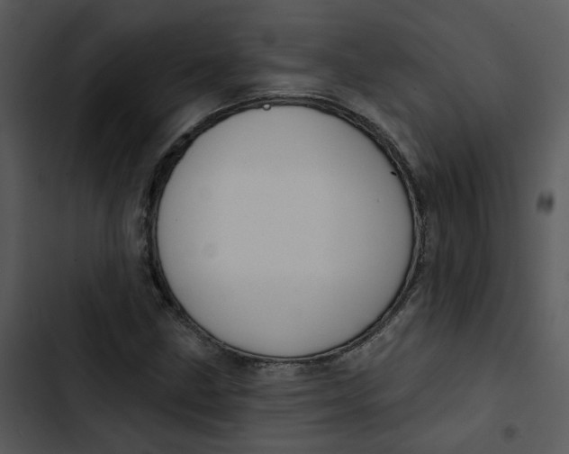 X0000102831211200809081147