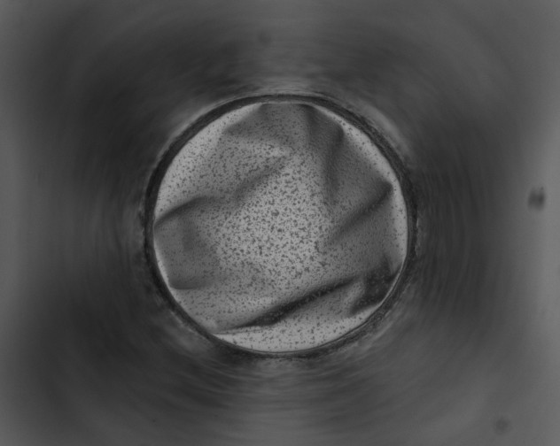 X0000102831212200809081147