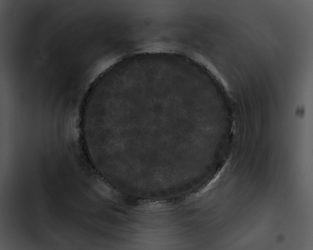 X0000102831213200809081147