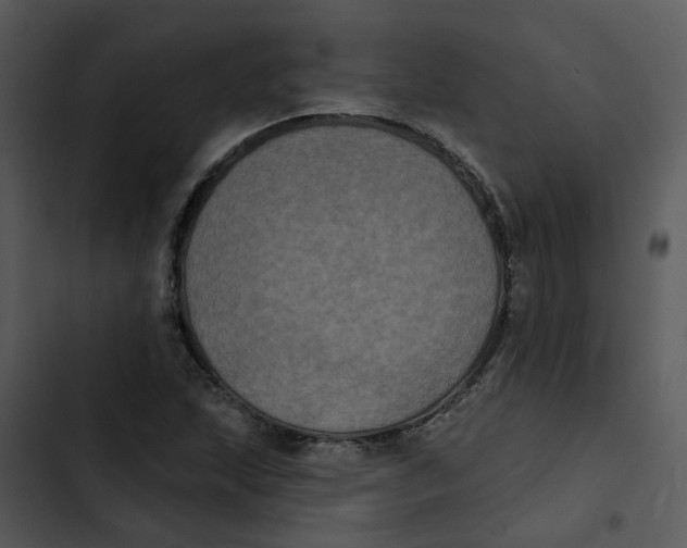 X0000102831215200809081147