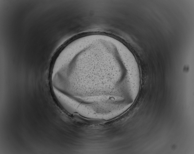 X0000102831216200809081147