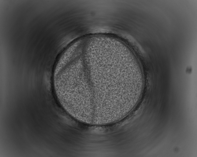 X0000102831217200809081147