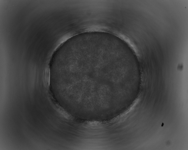 X0000102831219200809081147