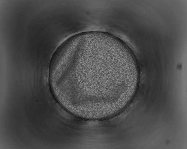 X0000102831220200809081147