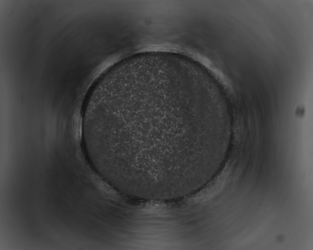 X0000102831221200809081147