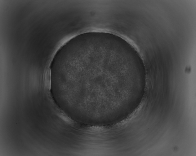 X0000102831223200809081147